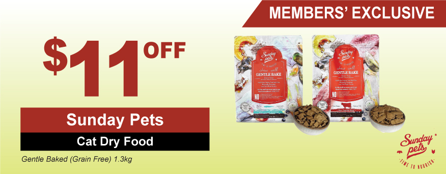 Sunday Pets Cat Dry Food Promo